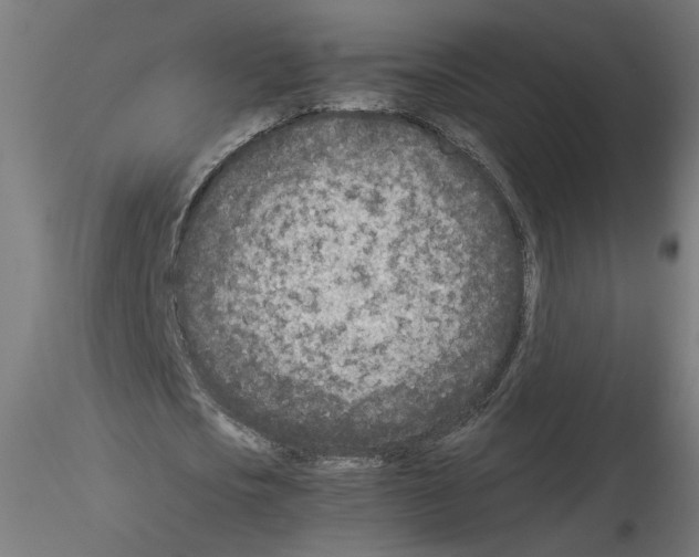 X0000115540721200912181528