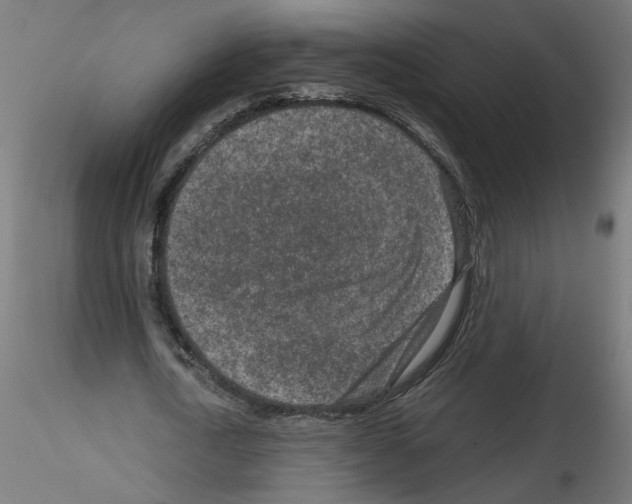 X0000115540722200912181528