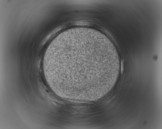 X0000115540723200912181528