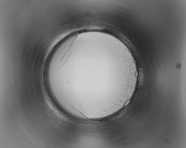 X0000115540726200912181528