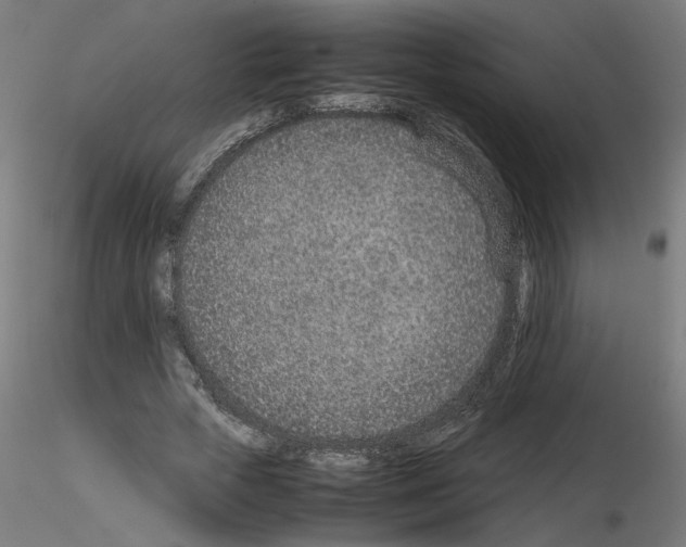 X0000115540729200912181528