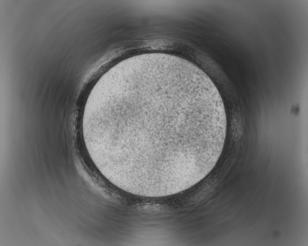 X0000115540730200912181528