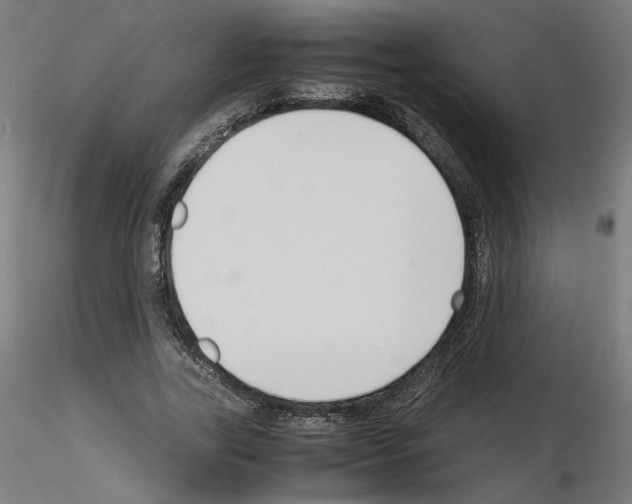 X0000115540731200912181528