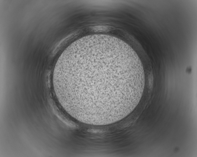 X0000115540733200912181528
