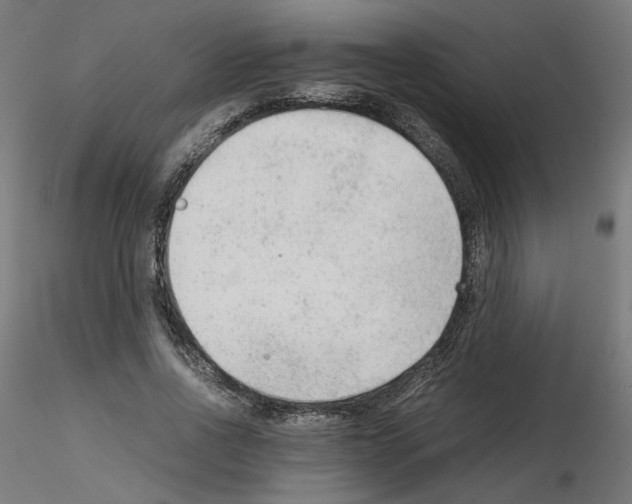X0000115540734200912181528