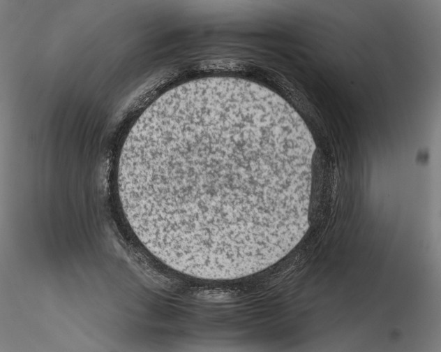 X0000115540735200912181528
