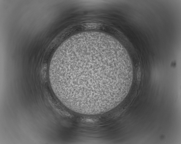X0000115540737200912181528