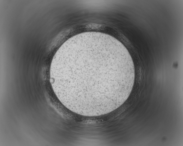 X0000115540738200912181528
