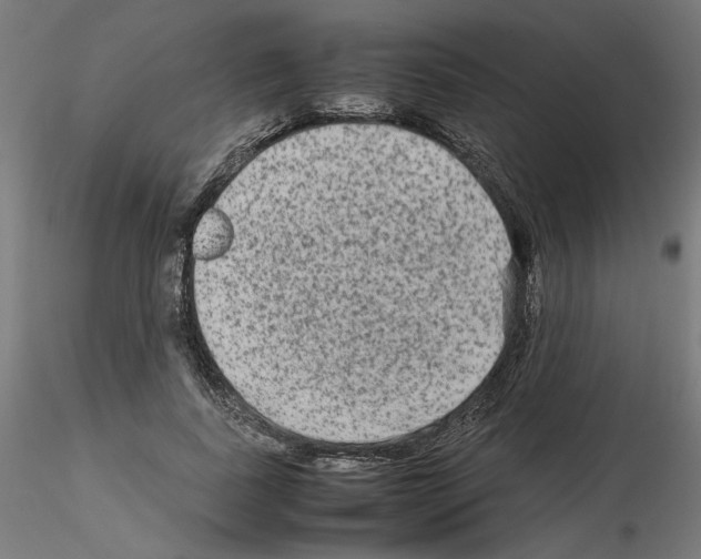 X0000115540739200912181528