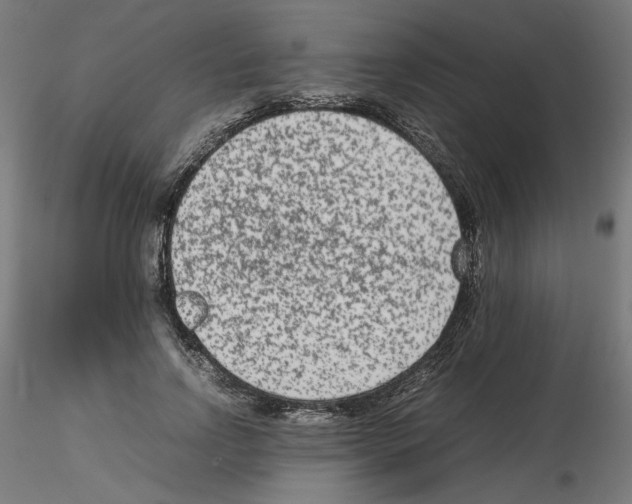 X0000115540742200912181528