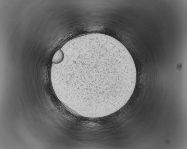 X0000115540743200912181528
