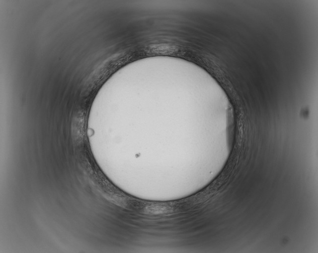 X0000115540745200912181528