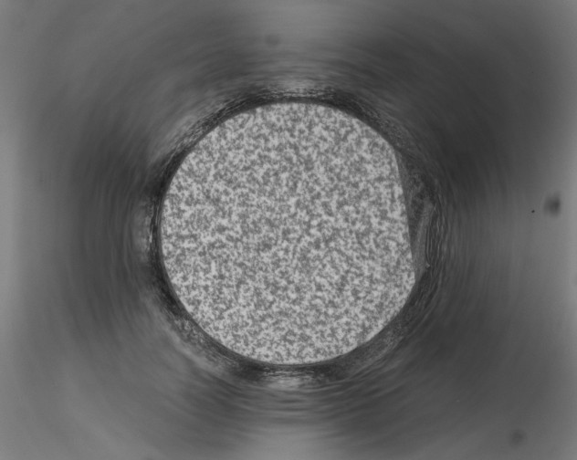 X0000115540746200912181528