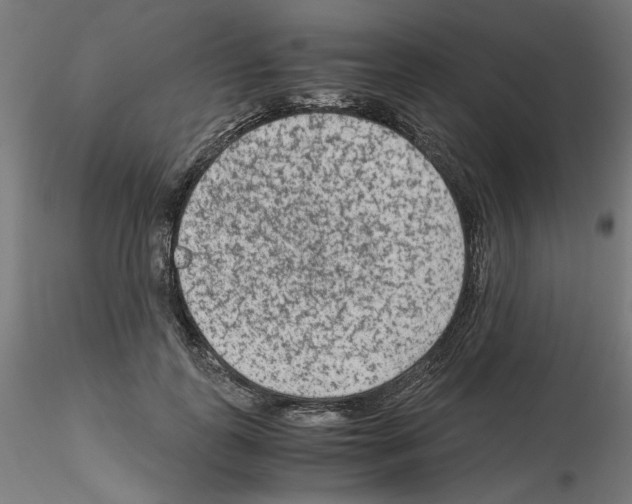 X0000115540747200912181528