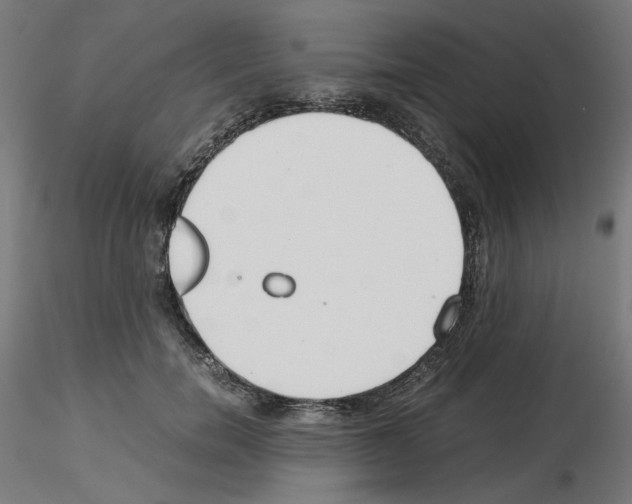 X0000115540750200912181528