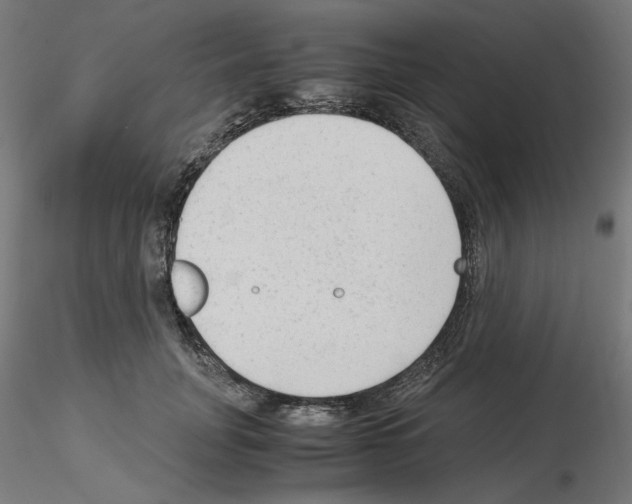 X0000115540751200912181528