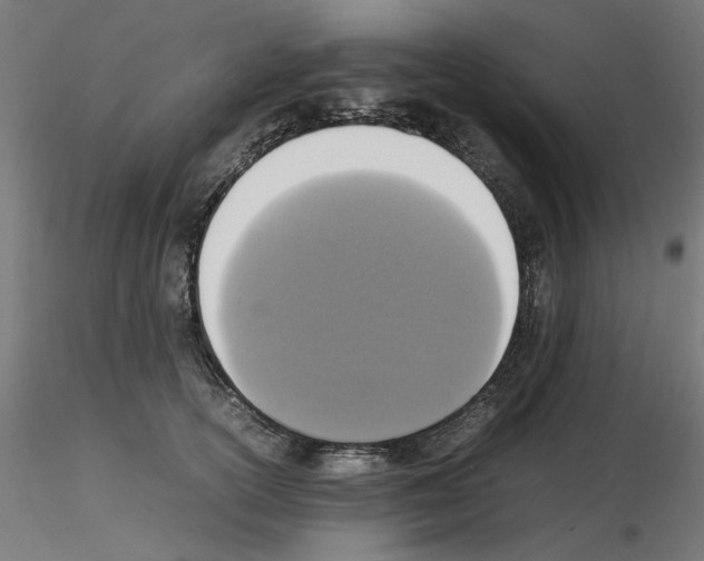 X0000115540754200912181529