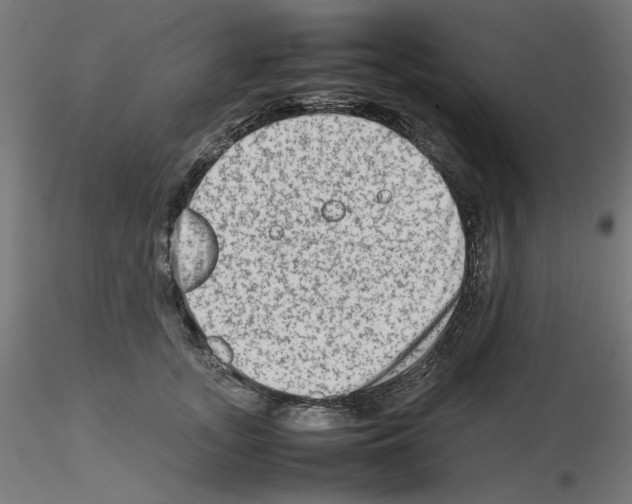 X0000115540755200912181529