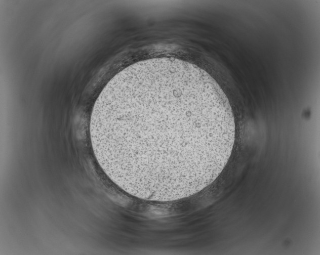 X0000115540757200912181529