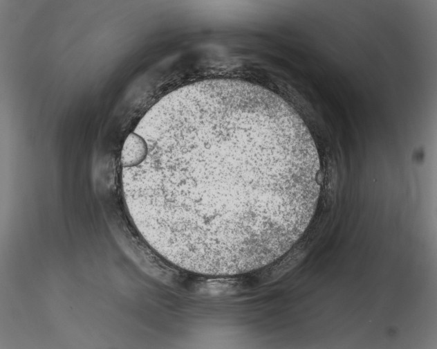 X0000115540758200912181529