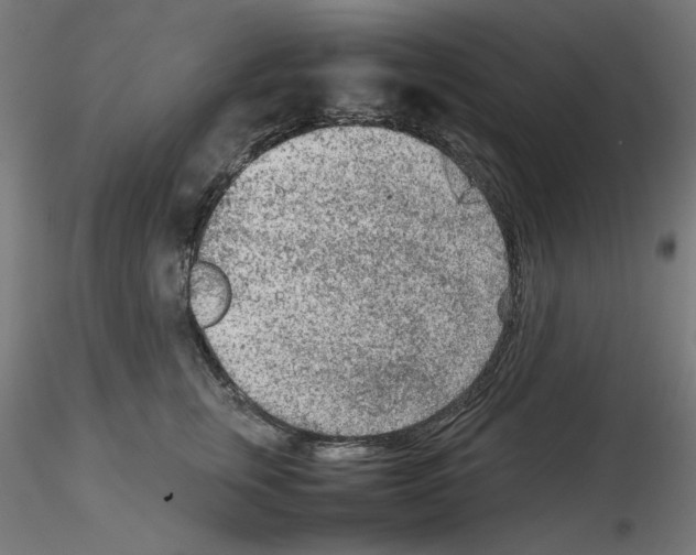 X0000115540759200912181529
