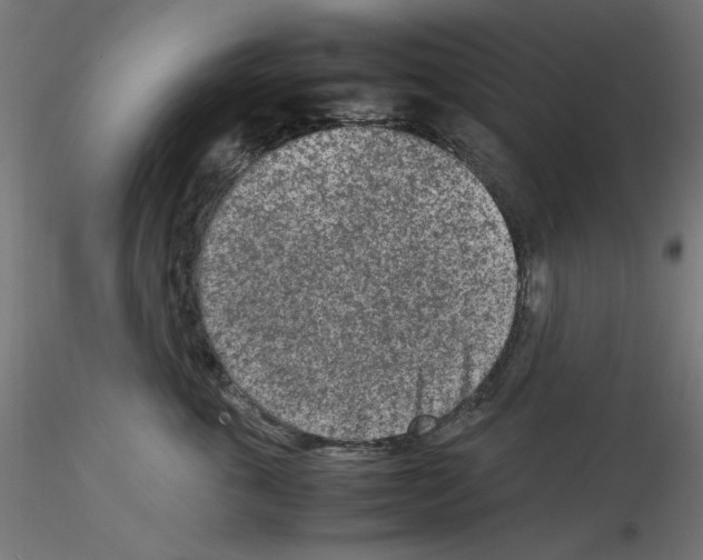 X0000115540763200912181529