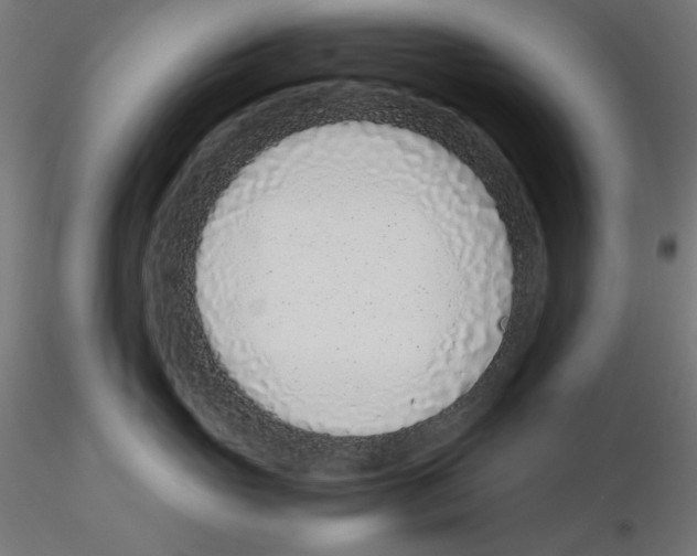 X0000115540765200912181529