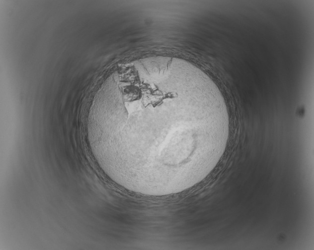 X0000115540769200912181528