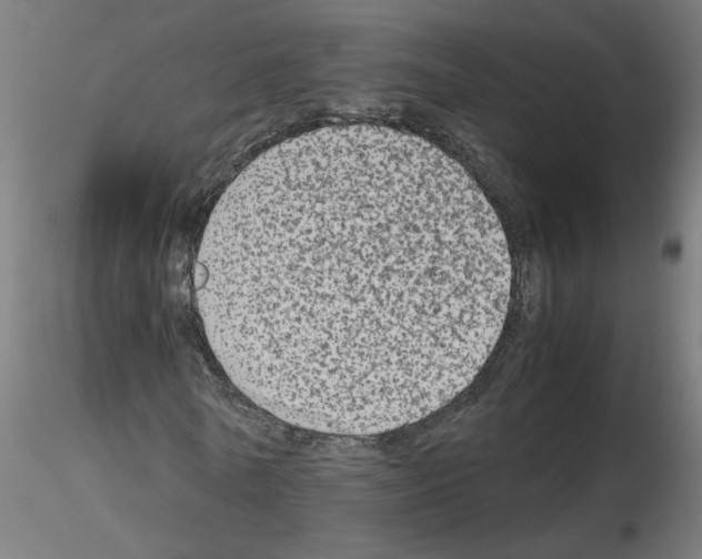X0000115540770200912181528