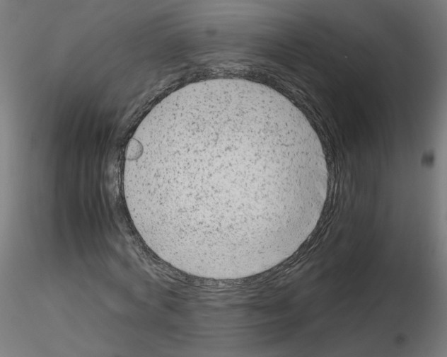 X0000115540772200912181528