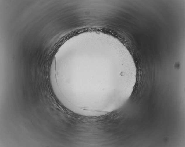 X0000115540773200912181528