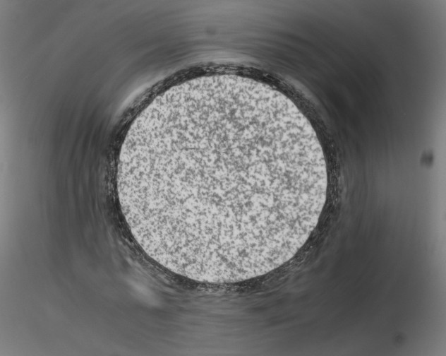 X0000115540775200912181528