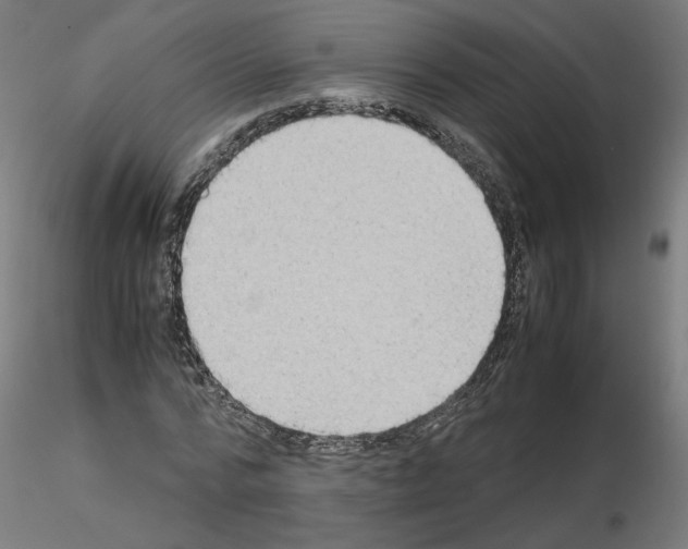 X0000115540776200912181528