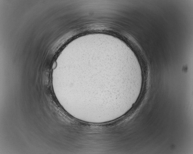 X0000115540777200912181528