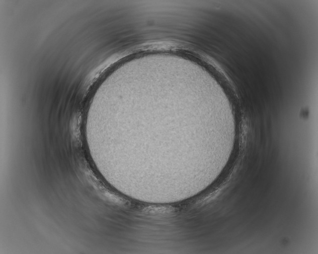 X0000115540778200912181528