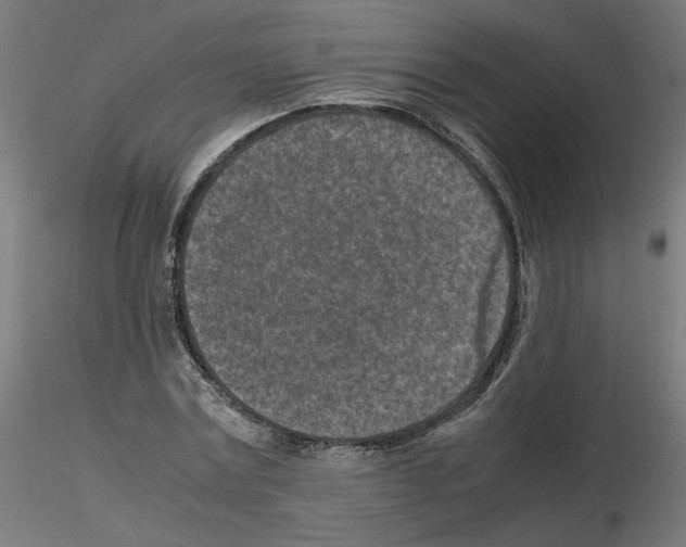 X0000115540779200912181528