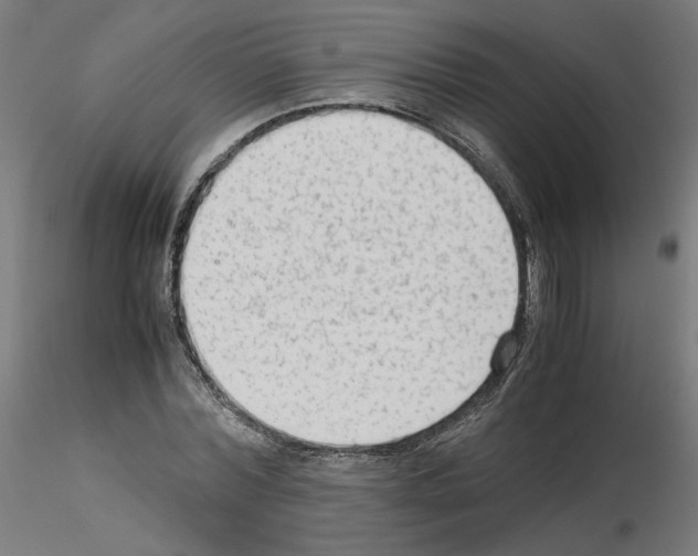 X0000115540780200912181528