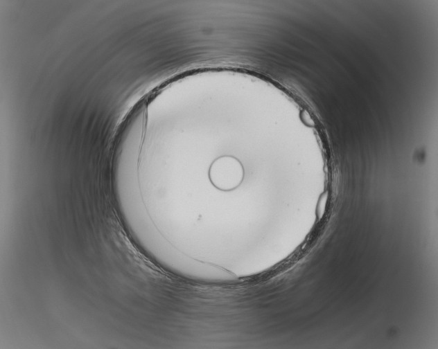 X0000115540781200912181528