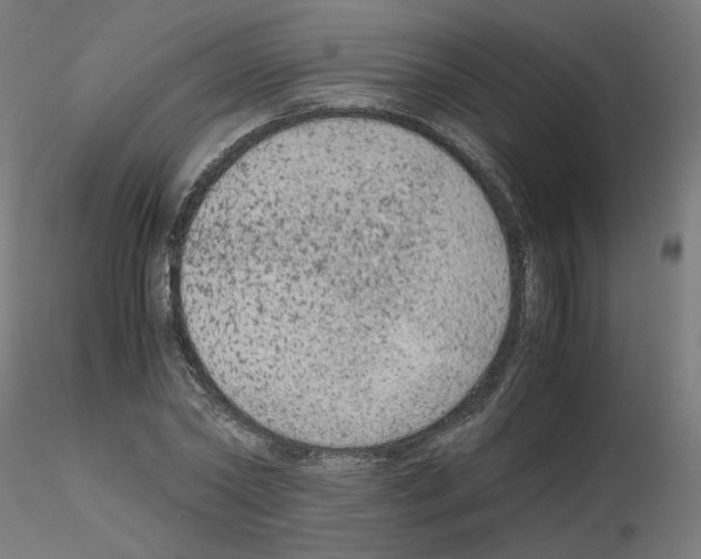 X0000115540782200912181528