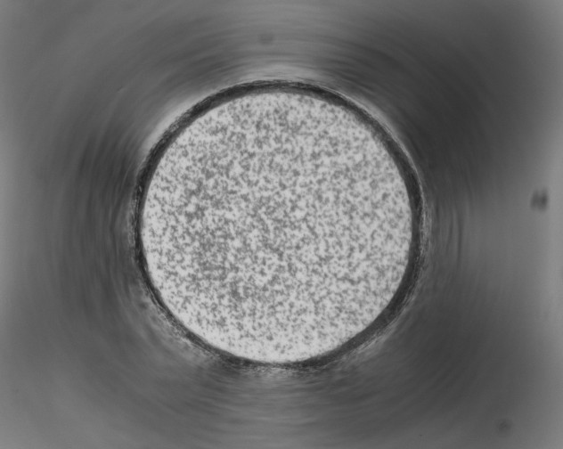 X0000115540783200912181528