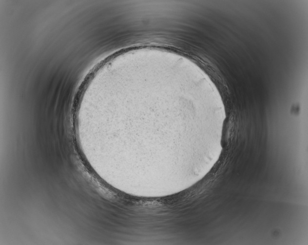 X0000115540784200912181528