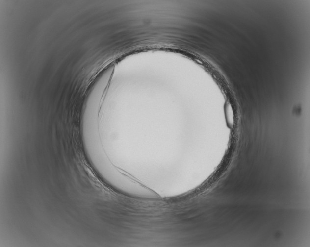 X0000115540785200912181528