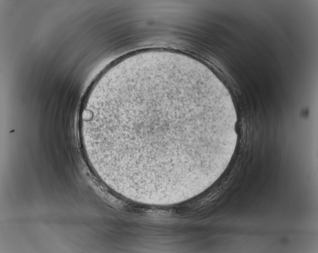 X0000115540788200912181528