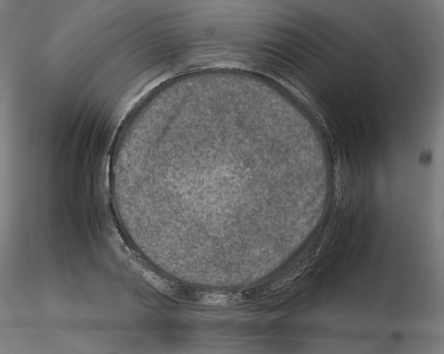 X0000115540790200912181528