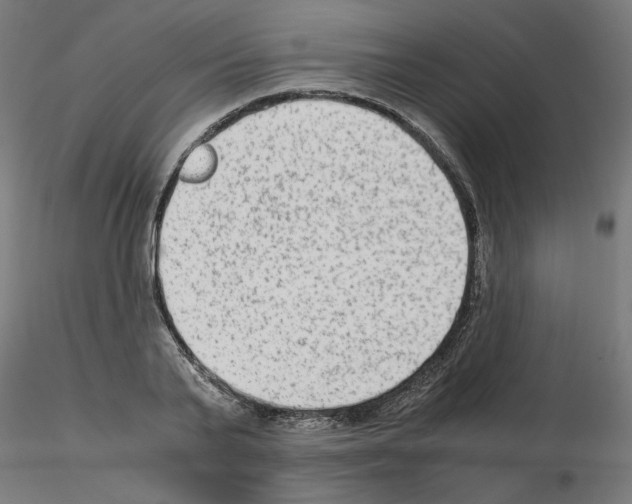 X0000115540791200912181528