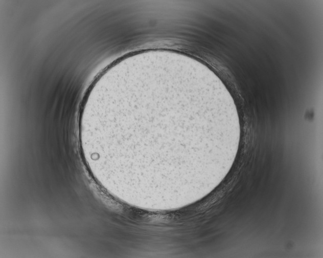 X0000115540792200912181528