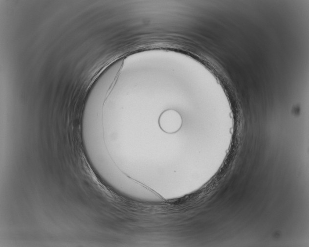 X0000115540793200912181528