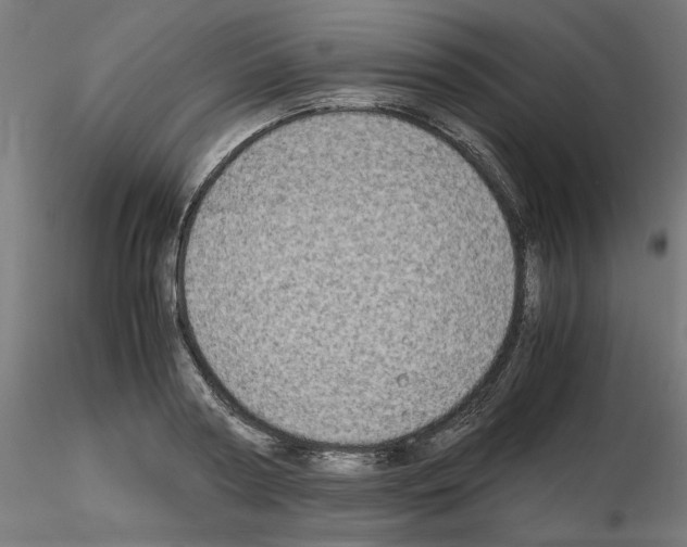 X0000115540794200912181528