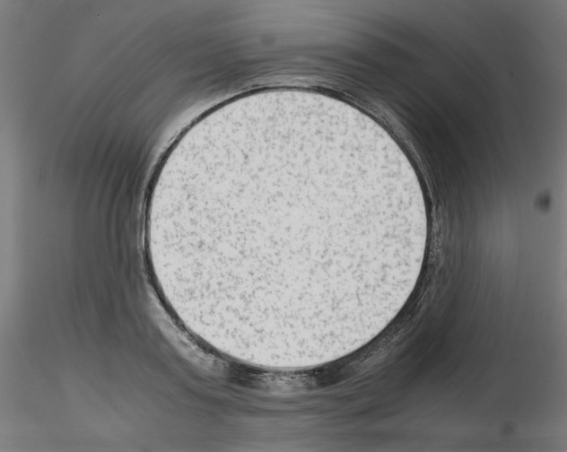 X0000115540795200912181528