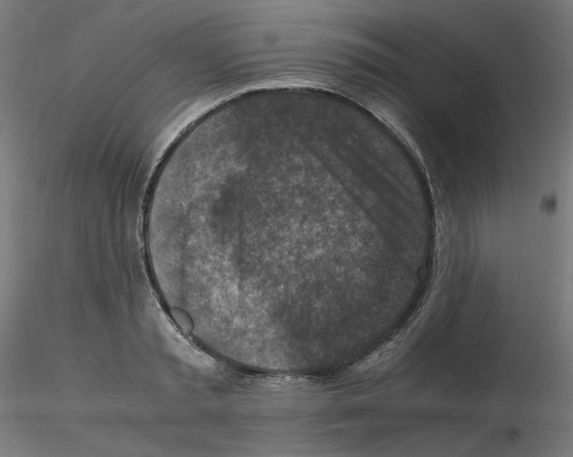 X0000115540797200912181528